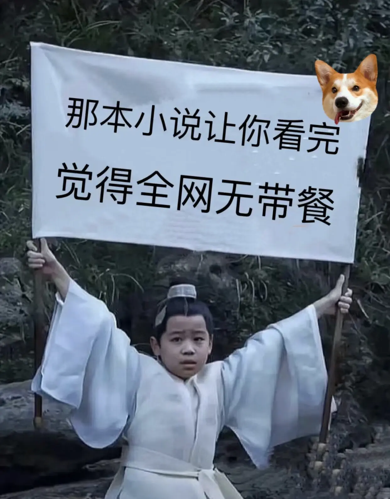 哪本小说看完让你觉得全网无代餐？