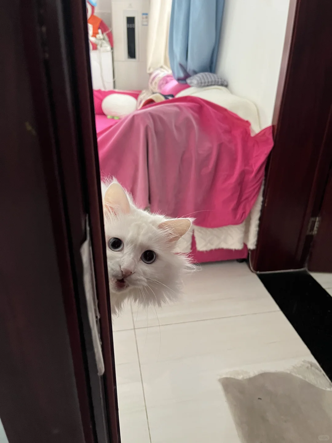 上厕所要那么久的吗？