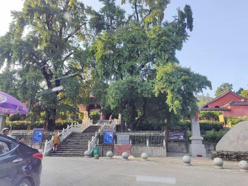 普通人还是要少接触悲情叙事 浅薄的生命阅历不足以支持人类的万古同悲 这是虚无主义