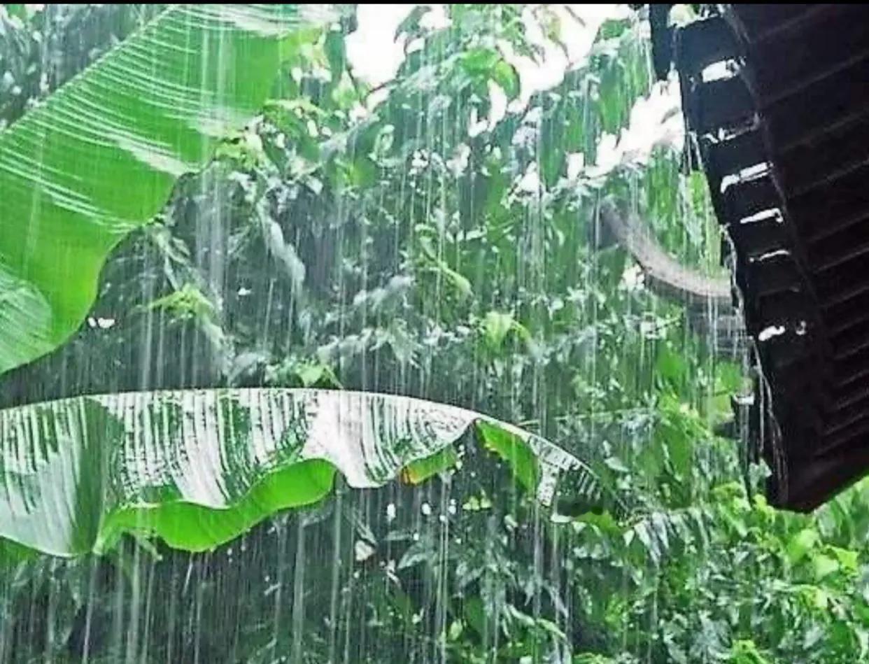 #上联： 风摇竹影添诗意，求下联#雨打芭蕉入画屏