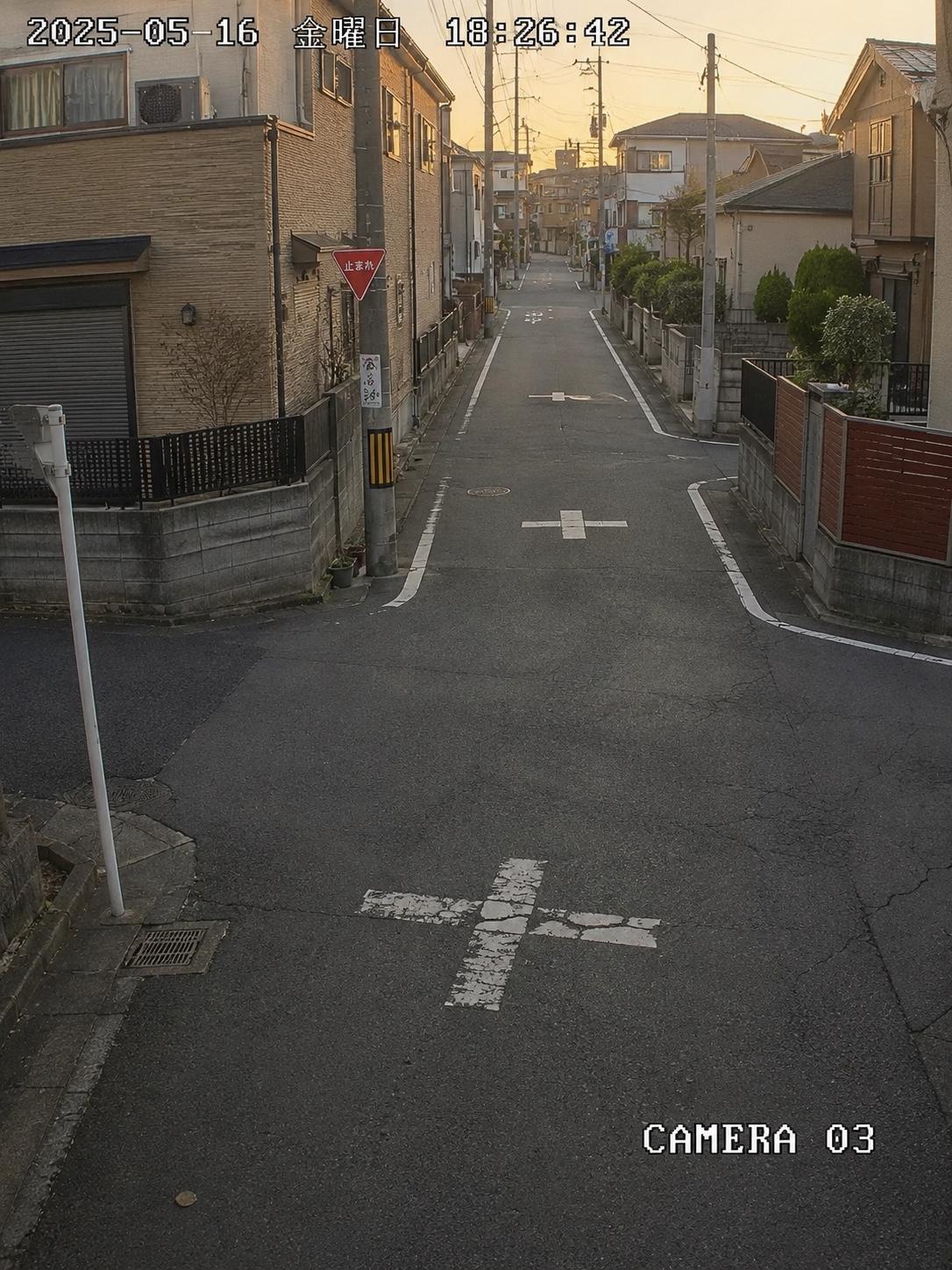 3岁的娃，就为了跑向马路对面的奶奶，命没了。

横滨，一条3.3米宽的住宅街，没