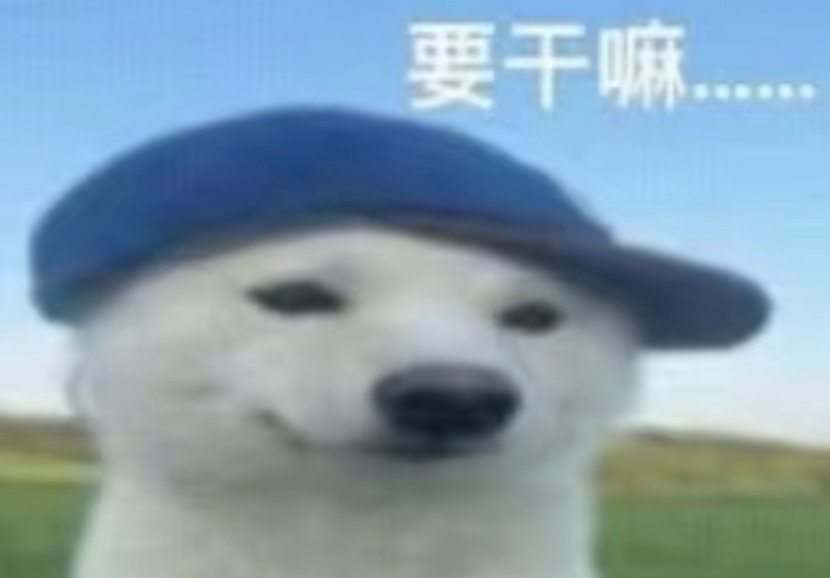 天天让我点那个pdd助力给家里所有人都提现成功几十块钱还整了几个空气炸锅，我说我