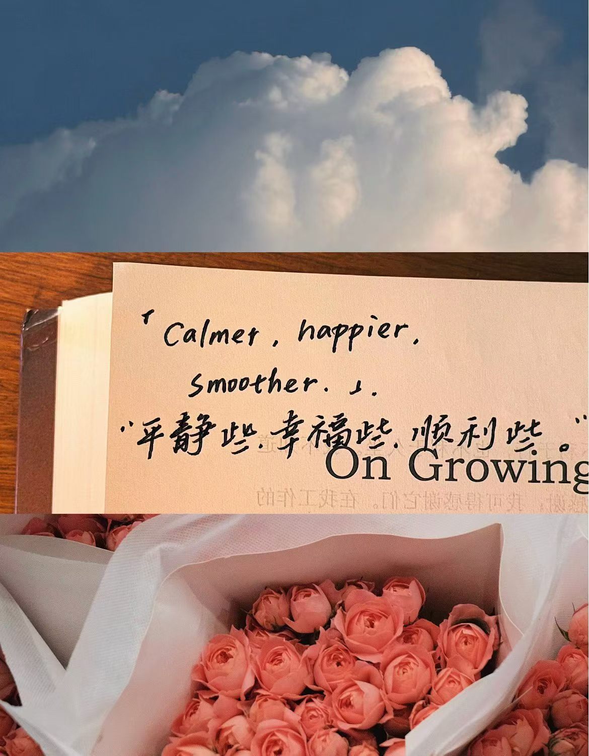 人生路还长，慢慢收尽这世间美好⌯>ᴗo 