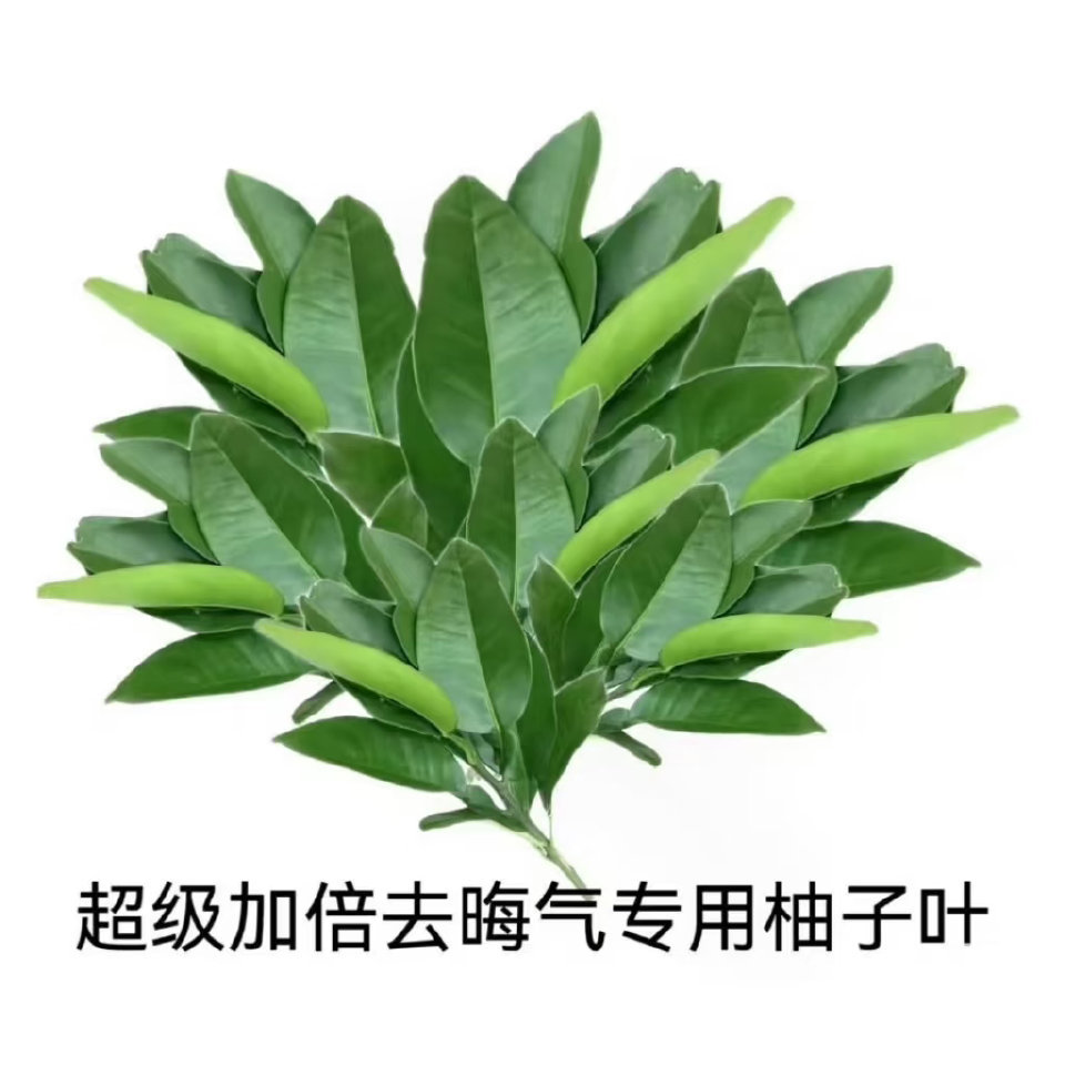 梓渝工作室更新 瞅 