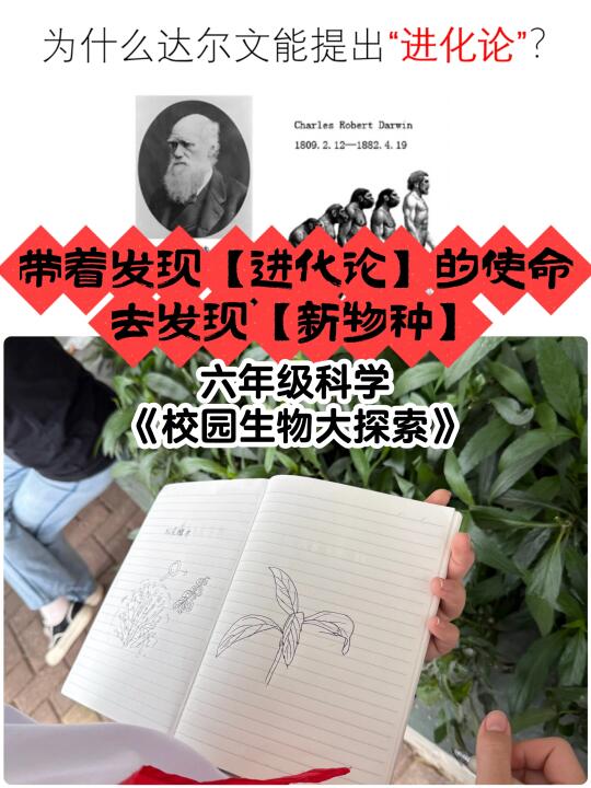 我们这个单元，就是要重演这个历史故事！