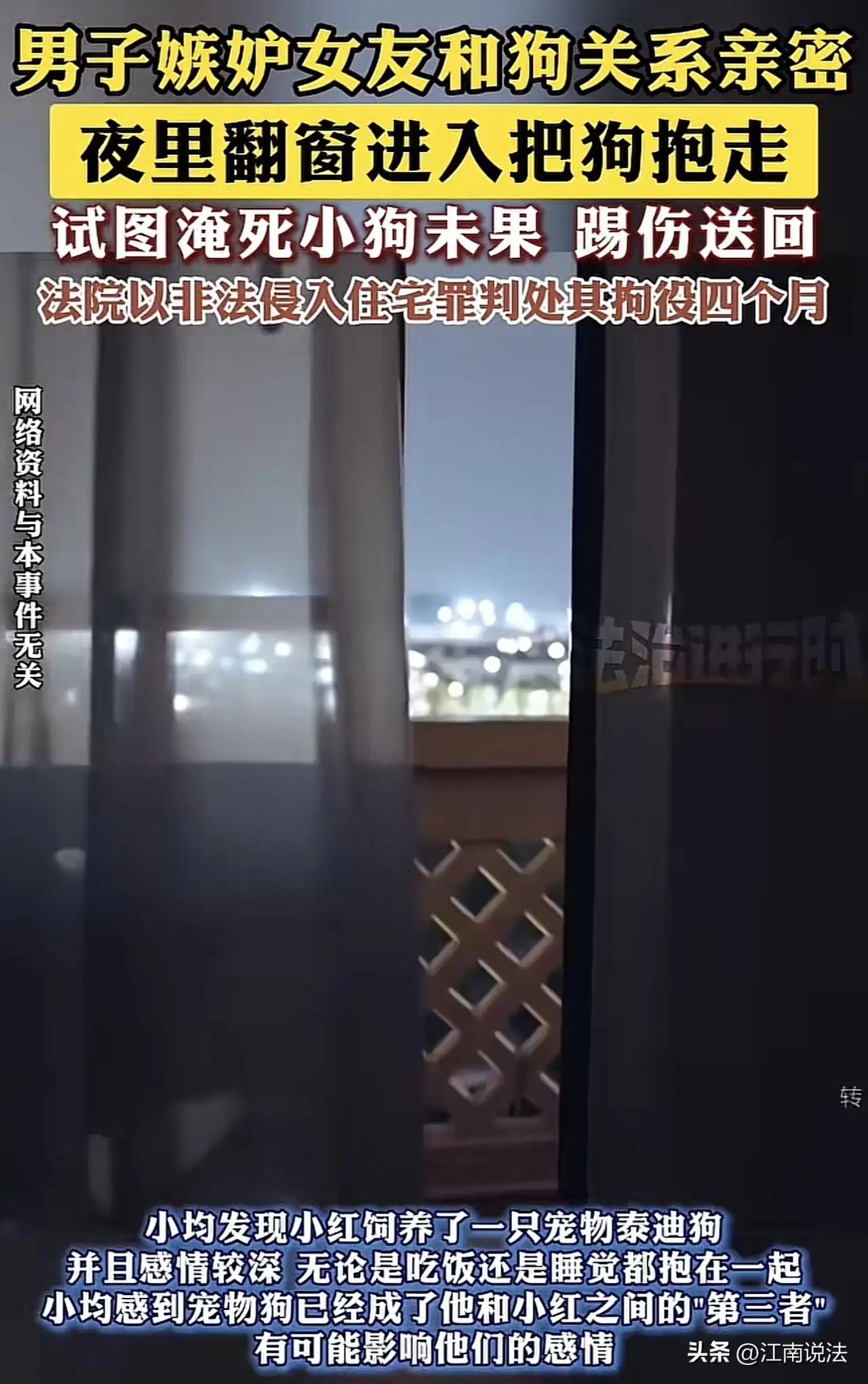 海icon，一男子发现女友，与其宠物泰迪狗关系异常亲密，吃饭睡觉都抱着，男子起了