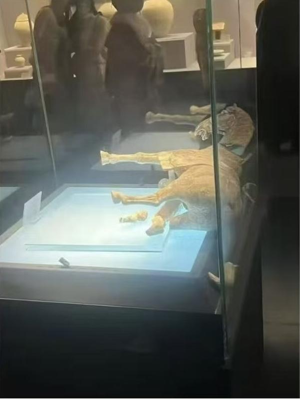 【洛阳唯一的鎏金马，玉碎了】有人想得到吗：马年第1天，这匹来自大唐的鎏金马，以玉