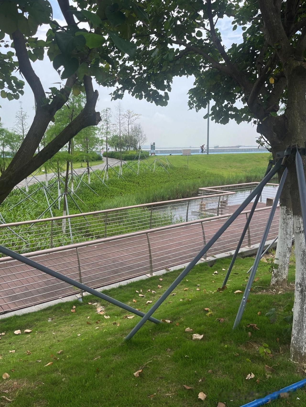 春日漫跑指南｜大角山观海平台必打卡地

🌊谁说春天只能逛花海？这个被低估的滨海