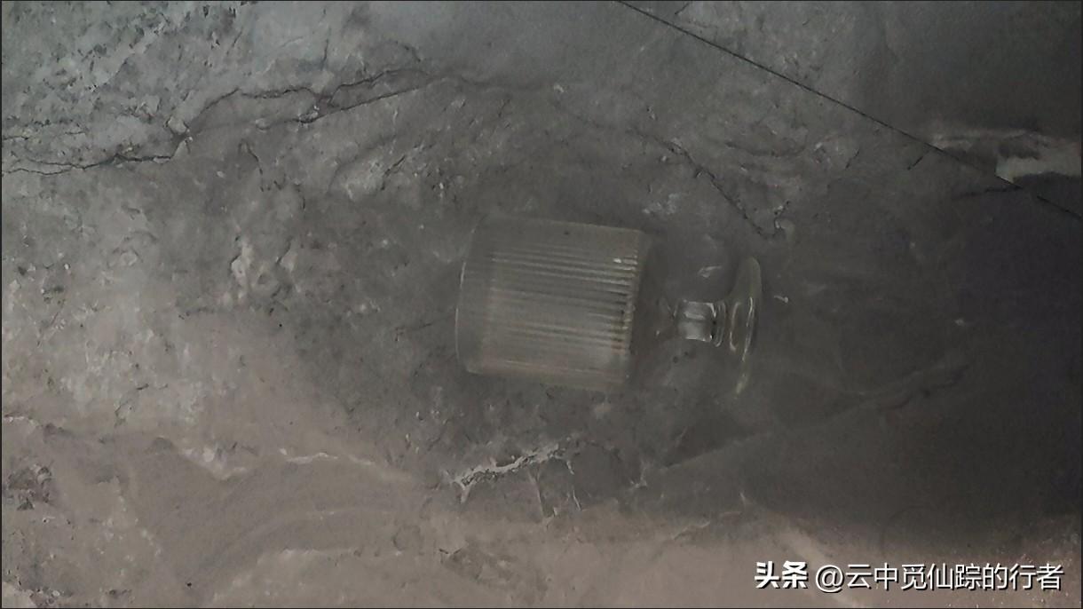 春日生活打卡季