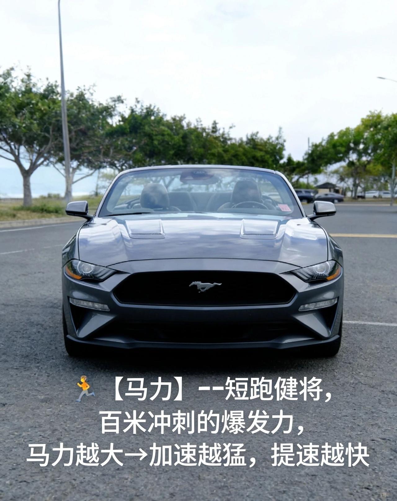 选车别死磕马力！家用车黄金区间+关键参数，闭眼选不踩坑身边人选车总比马力大小，其