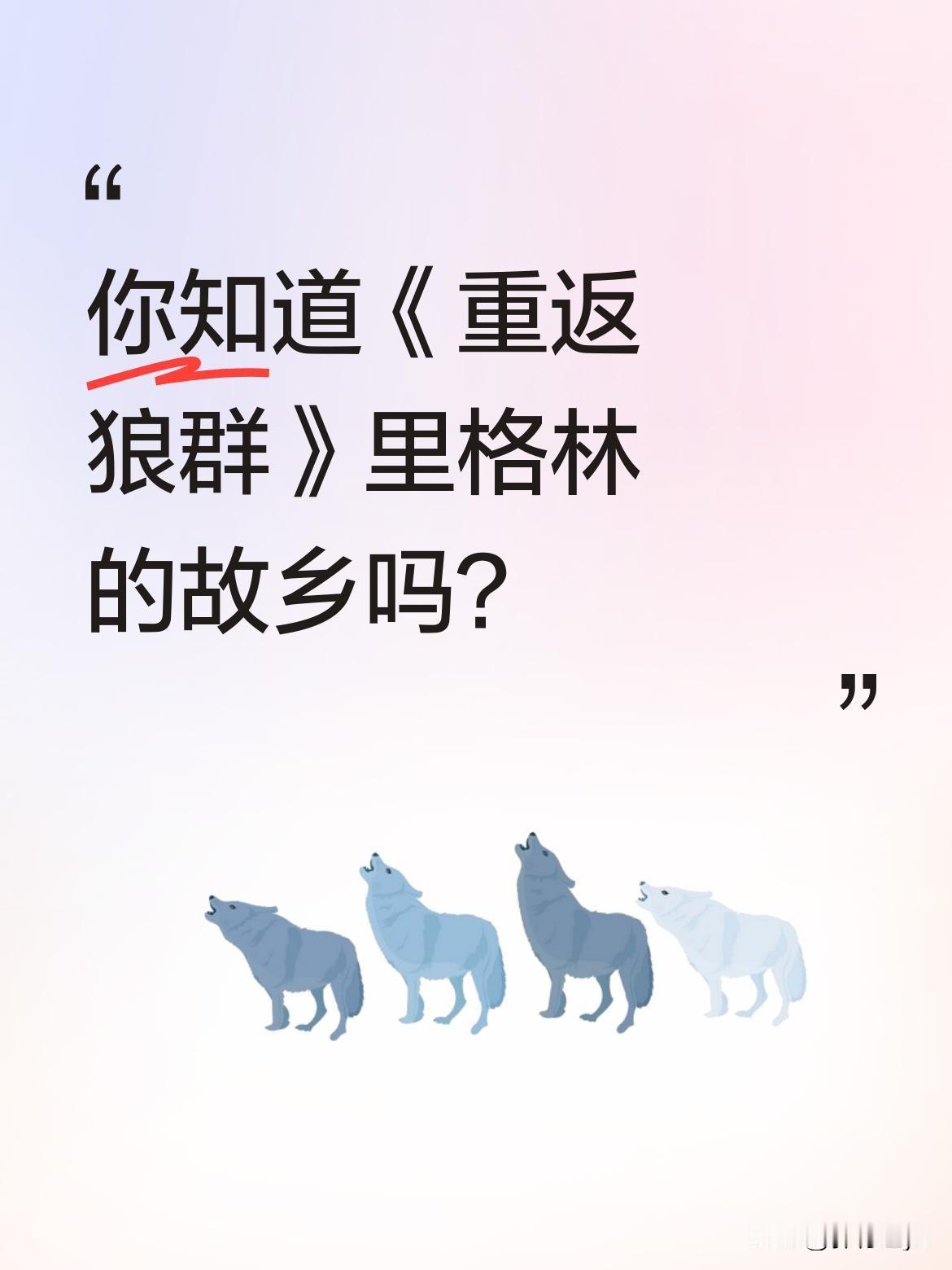 你知道《重返狼群》里格林的故乡吗？
这里就是若尔盖大草原，一片承载着狼族故事的土