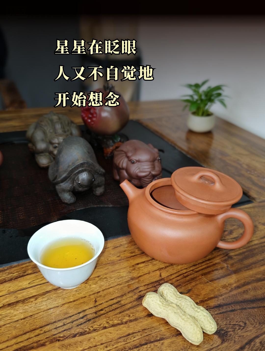 当喧嚣都已不在，静静听海浪去复来紫砂壶 上热门🔥