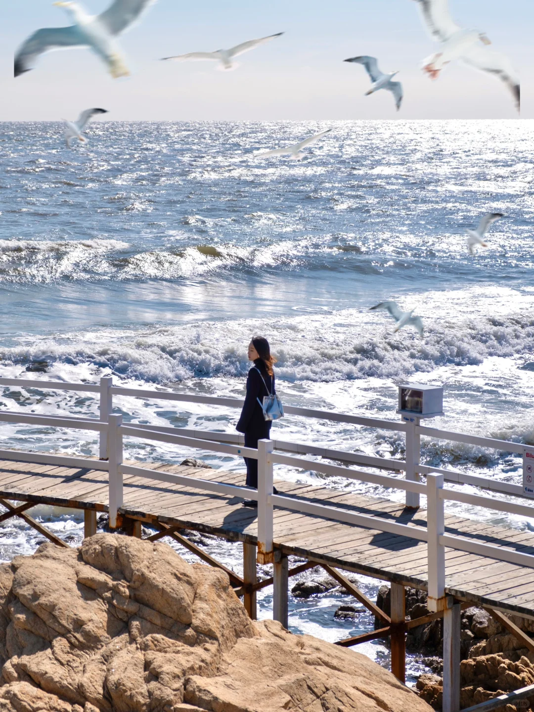 2024旅行结算｜📸记录我去过的江浙沪皖