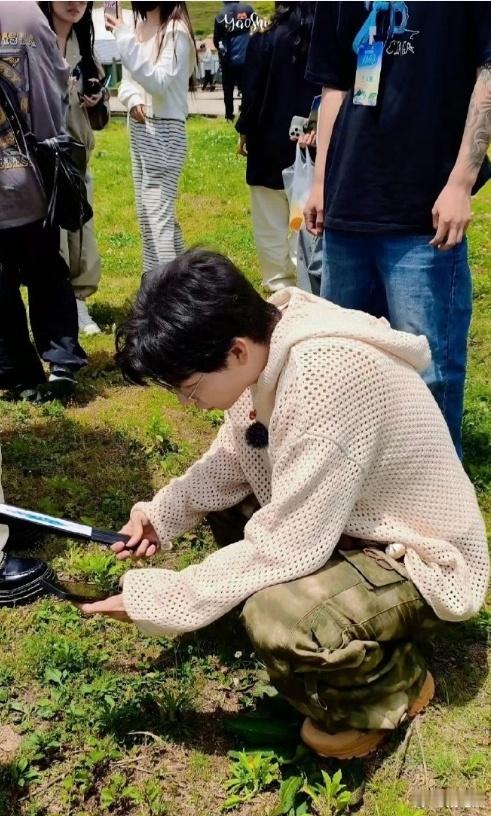 咬胡夏的蝉是什么品种 建议胡夏下次开唱，舞台特效加个 “驱蝉光波”，看谁还敢来偷