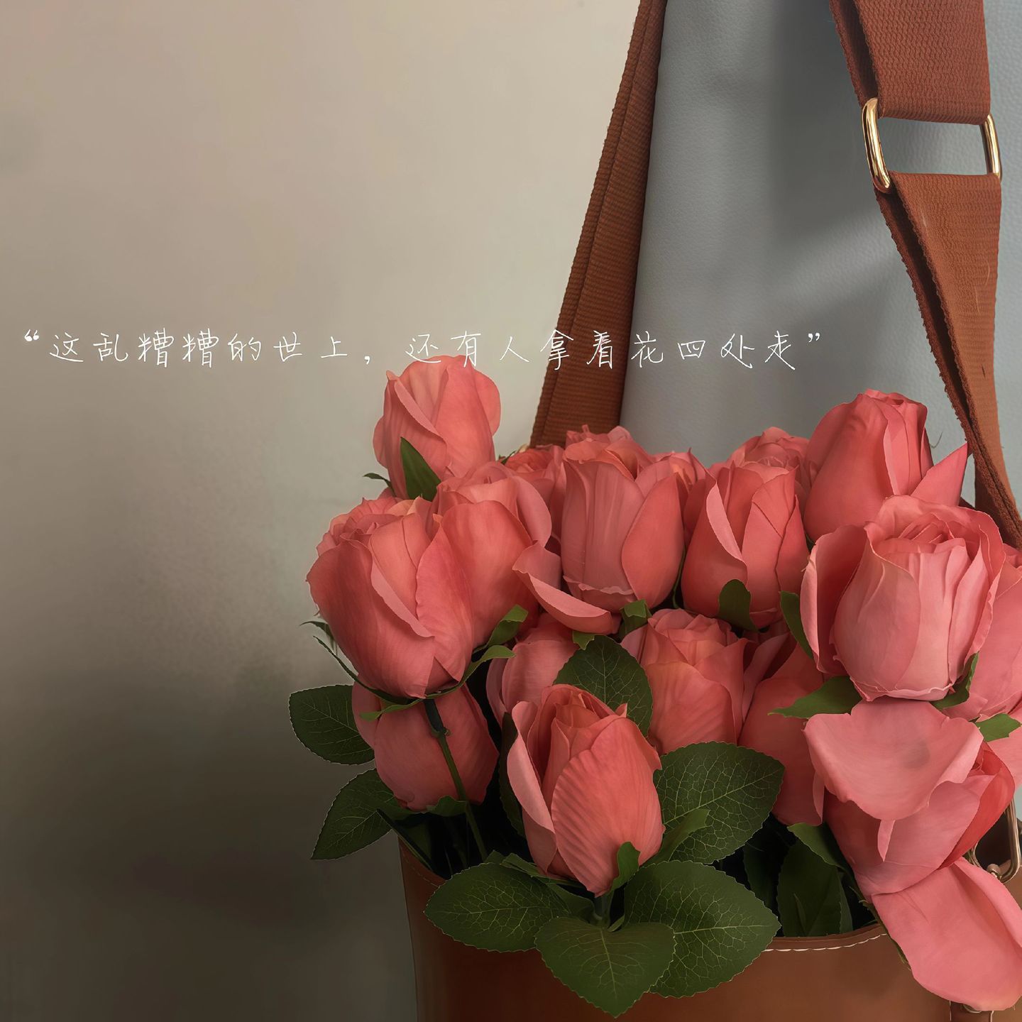 🧸⊹꙳𝐋𝐢𝐟𝐞 ꙳ 🔍⸝⸝“每一个睡不着的晚上 我不数羊也不数星星 