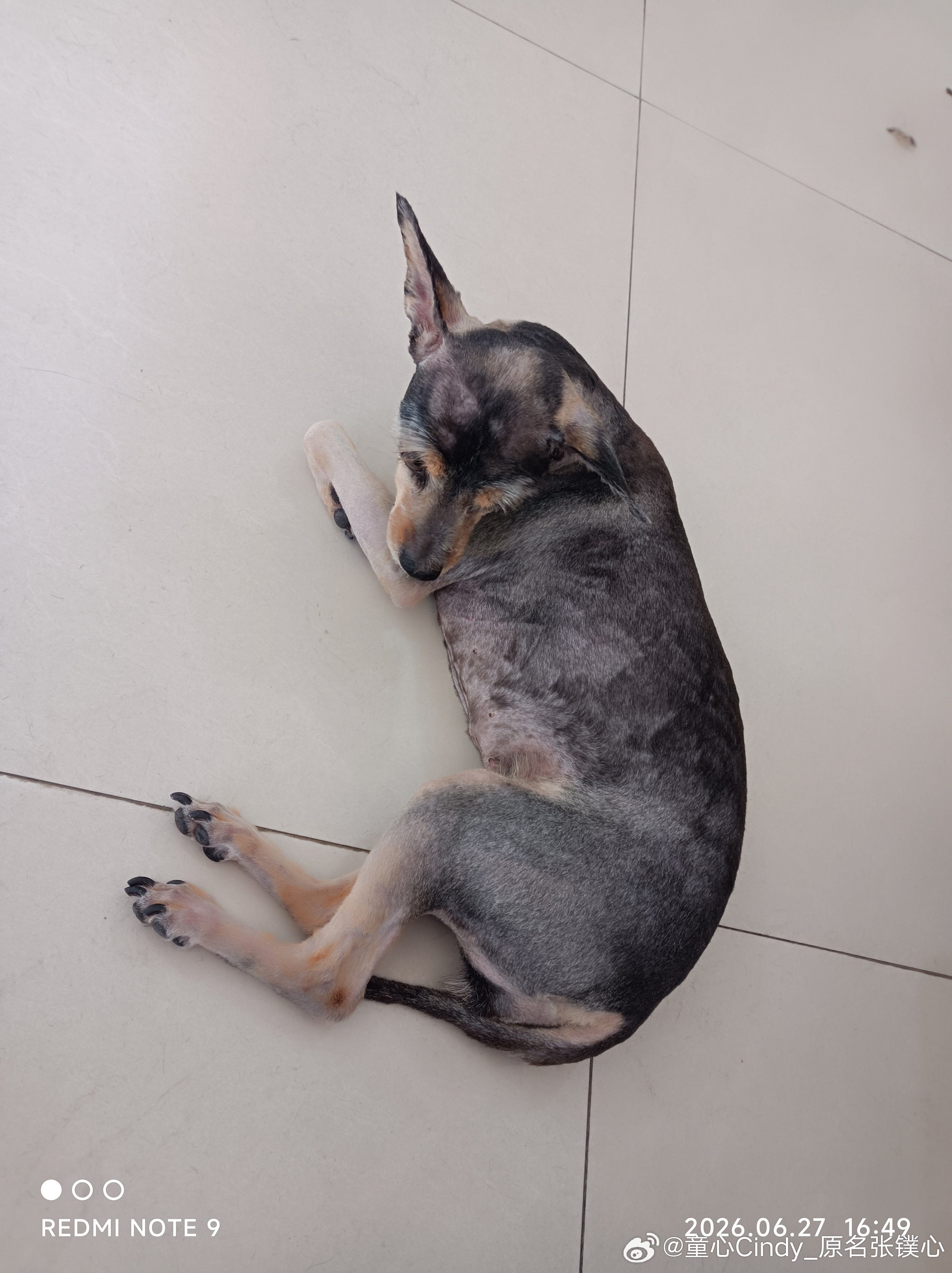 今天带着宝贝们去做美容了，还泡了spa，小Luka做的精油有机纯牛奶spa，小三