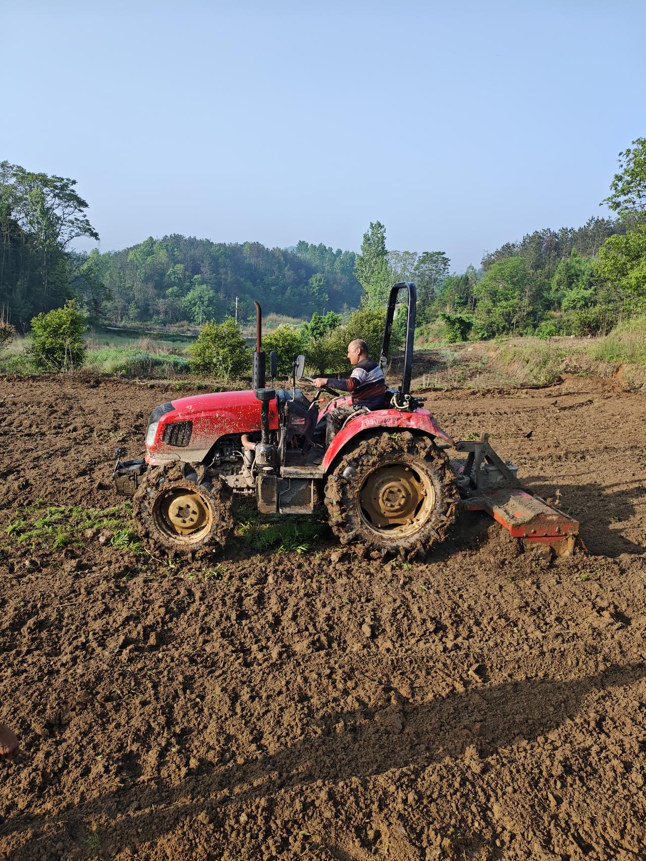 春日生活打卡季春种