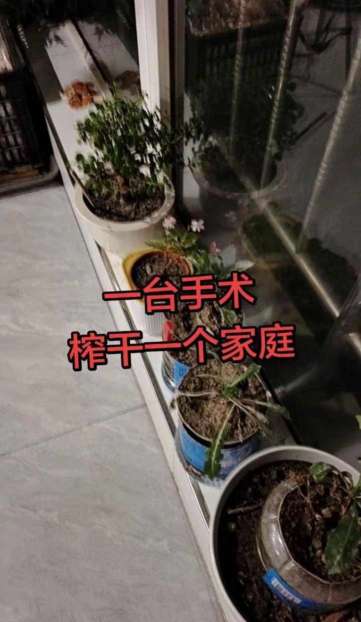 2026斯诺克世锦赛第二轮，赵心童在对阵丁俊晖时，打出一杆精彩长台，本局直接诞生