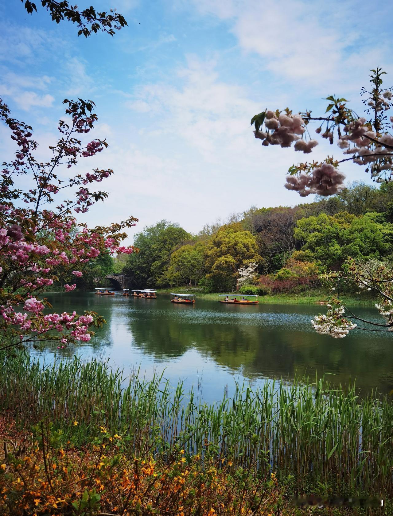 杭州西湖杨公堤边乌龟潭景区，‌从高处俯瞰，潭中一座小山形状似乌龟，相邻的眠牛山则