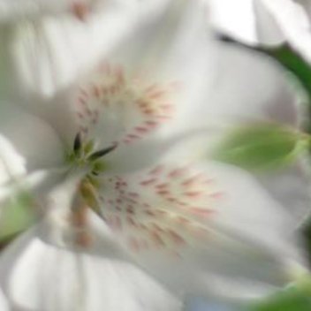 正能量修得一颗澄明心，行得一条正道途，活得一身浩然气。不必讨好世界，无需迎合他人