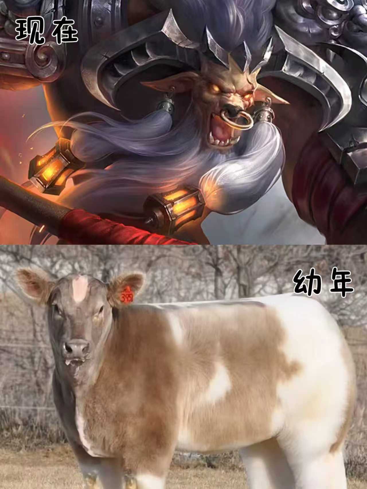 长大后我就成了……王者荣耀 王者荣耀