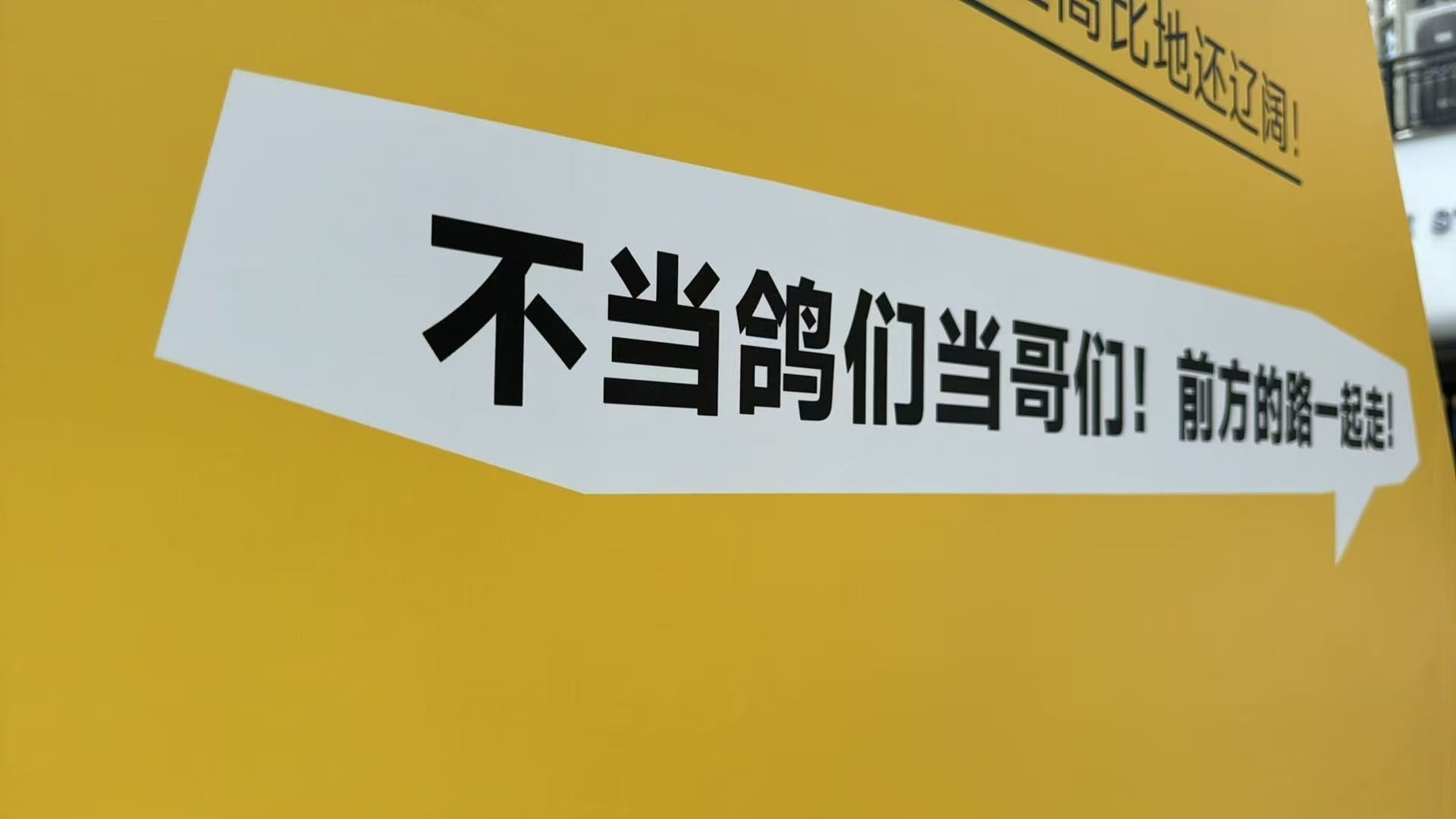 长沙渔人码头闪现鸽友会 谁还没几个“说鸽就鸽”的朋友啊？不是关系淡了，是生活太吵