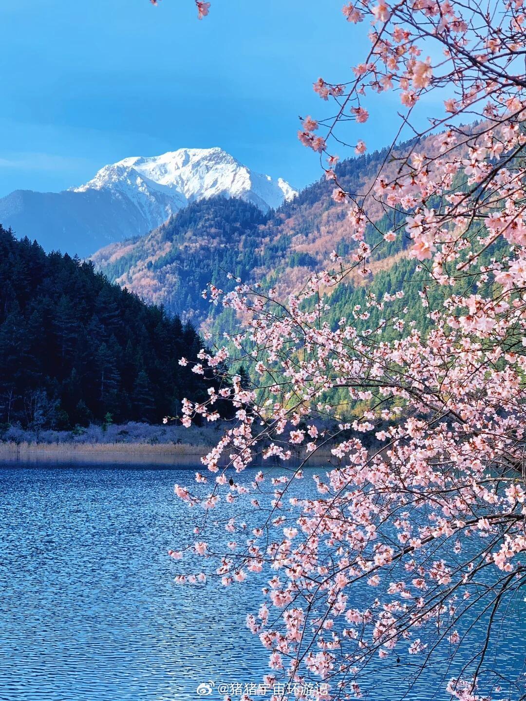 九寨沟旅行5A景区天花板 3月接下来超美3-4月的九寨沟简直是浪漫旅行地天花板！