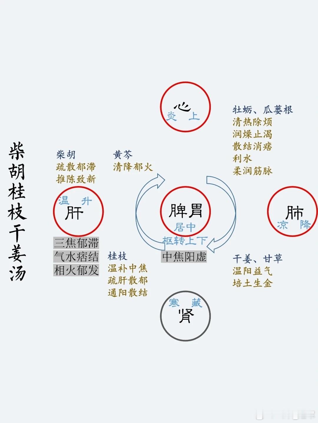 柴胡桂枝干姜汤是《伤寒论》与《金匮要略》中的经典名方，其组方精简而寓意深远，通过