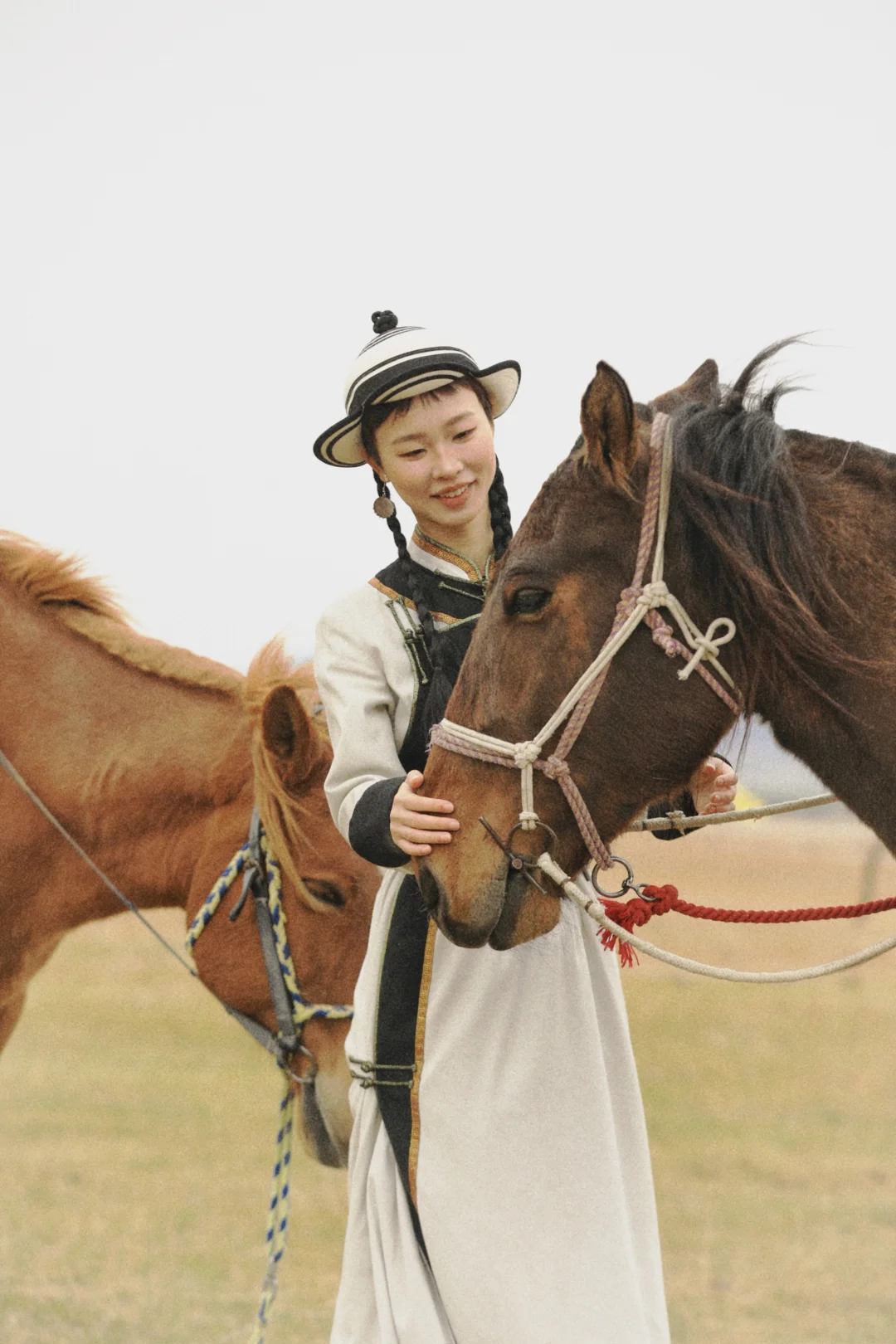 在草原上的原图直出🐎