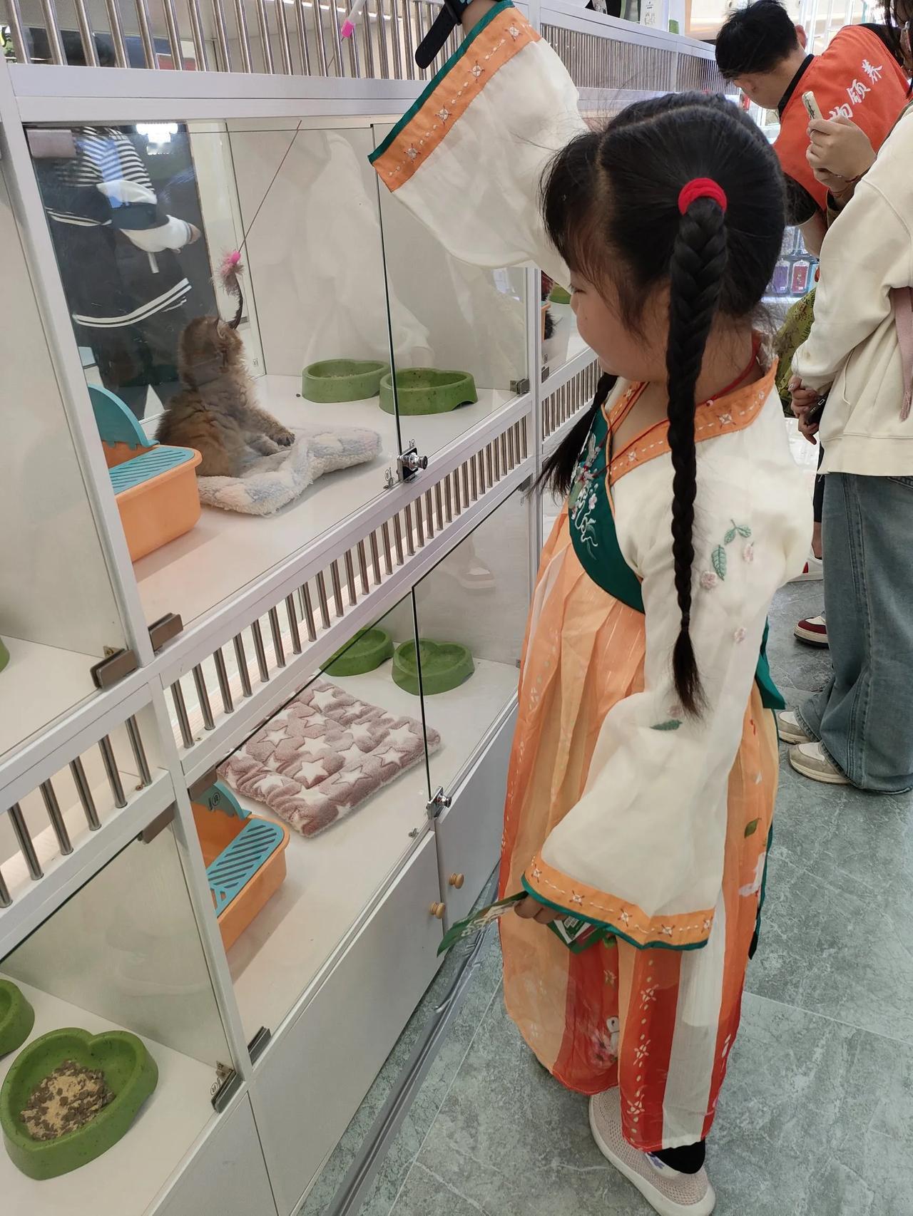 #分享你最喜欢的一张猫咪的照片#