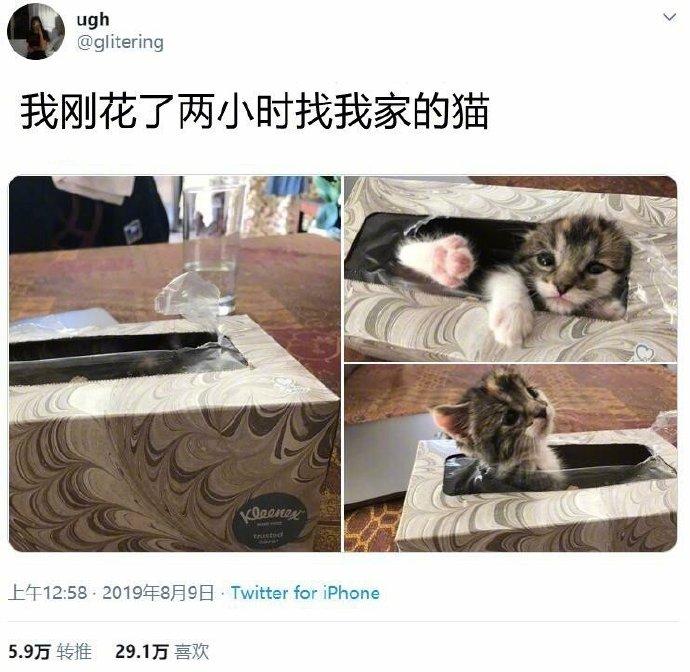 请问你是在找我吗？