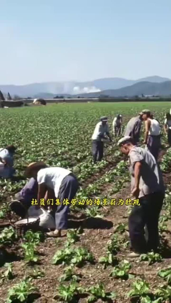 这是我们当地当时的情况。不知道外地是怎样的？两女子闹市被铐走 警方回应