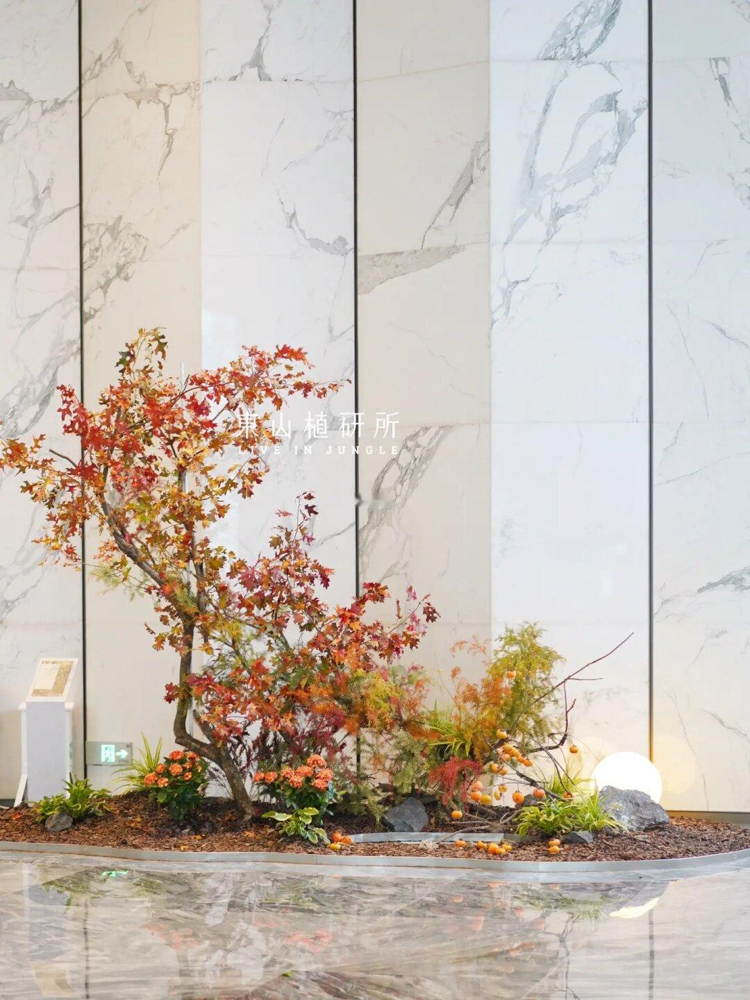 植物造景🍁植物色彩的秋季魅力