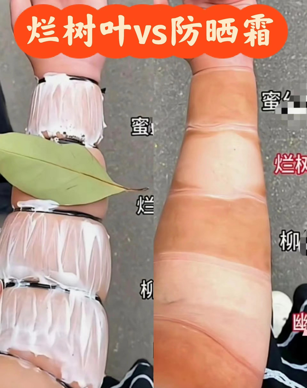 懂了，以后穿烂树叶出门[并不简单] ​​​