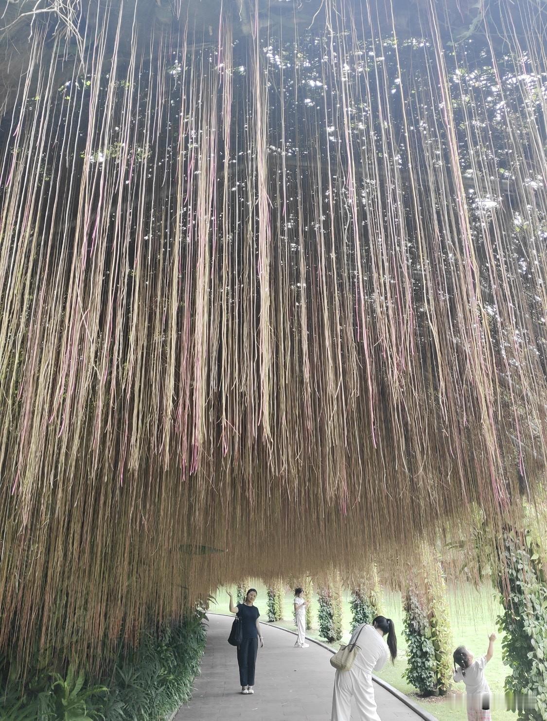 截至2015年，南宁市青秀山风景名胜旅游区植物种类共6128种，隶属235科12
