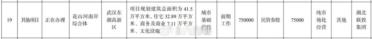 花山河南岸综合体项目引入民间资本！
近日，武汉一批项目计划引入民间资本参与投资建