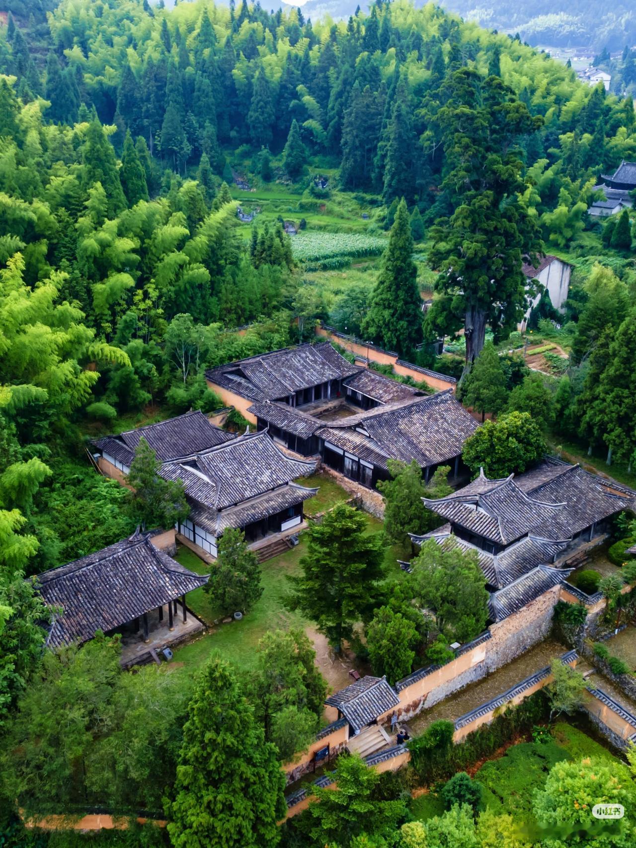 青田一日漫游指南👉欧洲小镇即视感
周末逃离大城市，发现了浙南这座宝藏小城
华侨