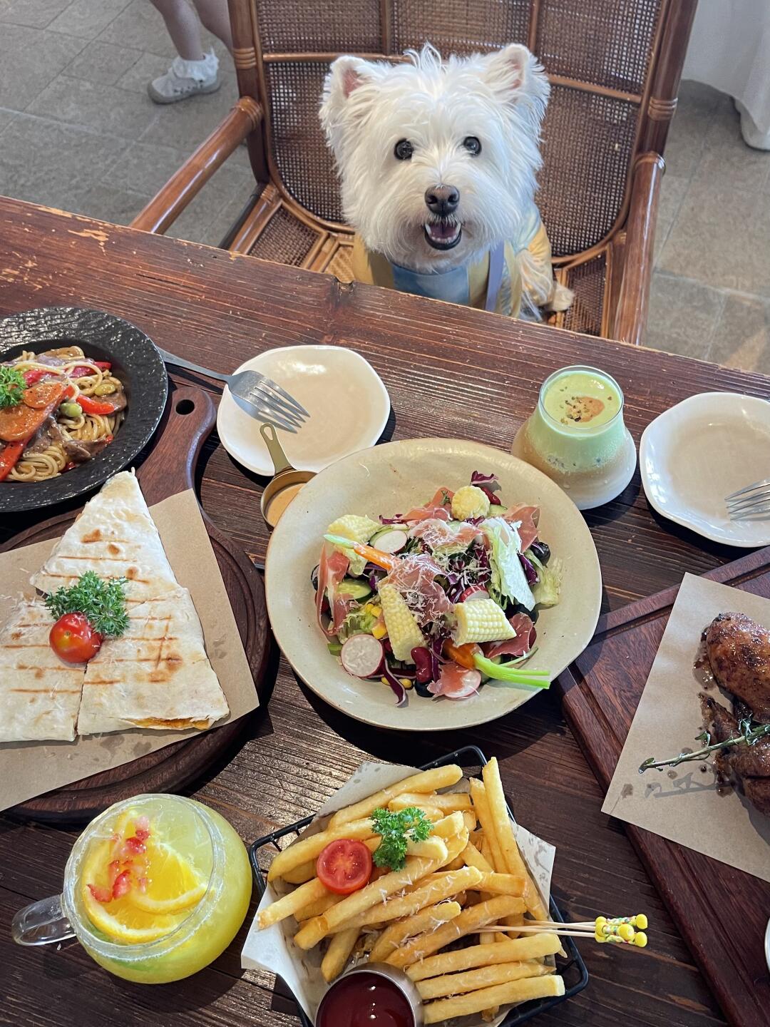 人，真的一口都没有吗