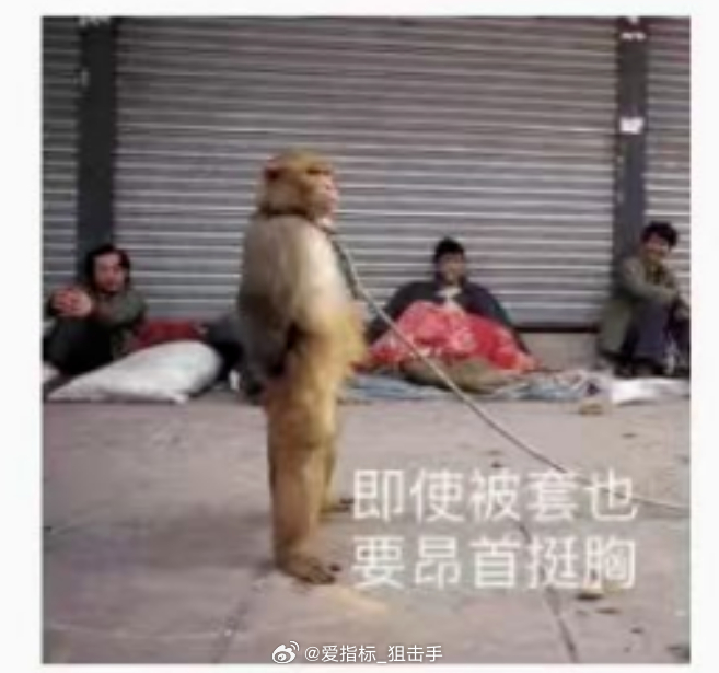 分享图片 