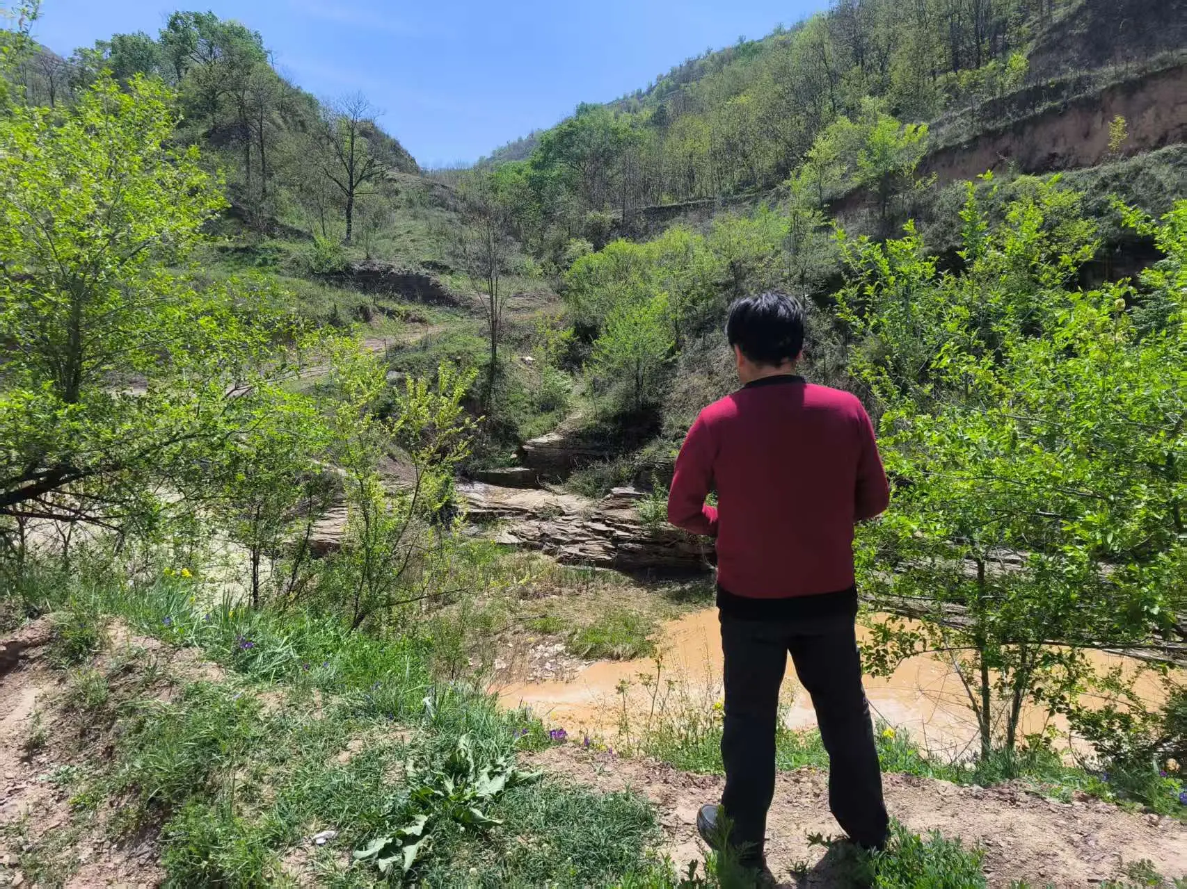 三月三日气象新，四郎河边多丽人。