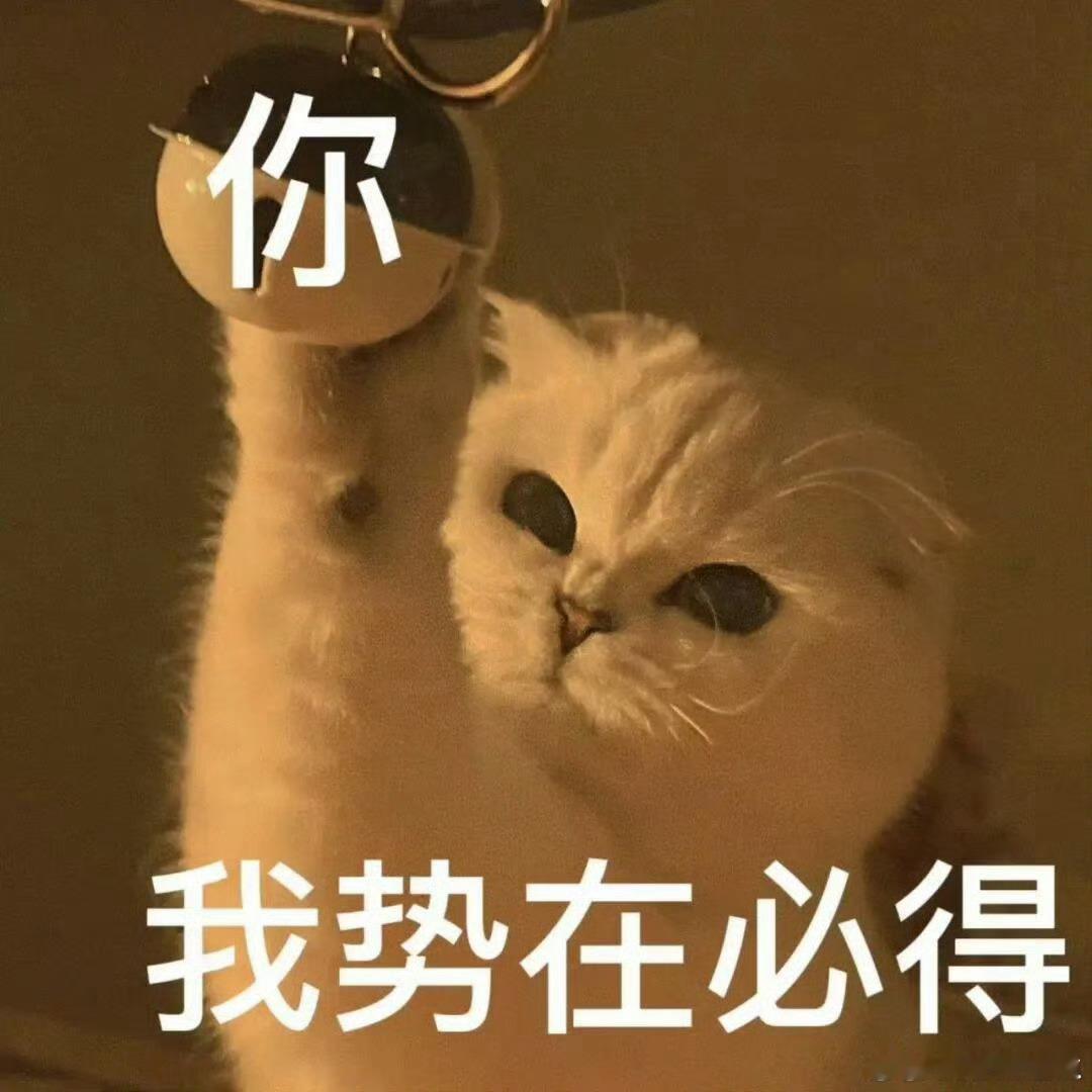 南京灵连夜改名南京赢输球不重要，友谊第一，比赛第十四苏超南京队赞助商ip连夜改名