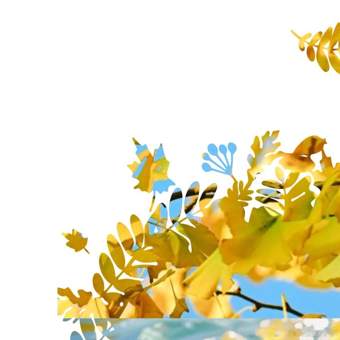 田栩宁0919生日快乐 🎂田栩宁熠岁廿八祈望星愿  🌷亲爱的阿栩，生日快乐?