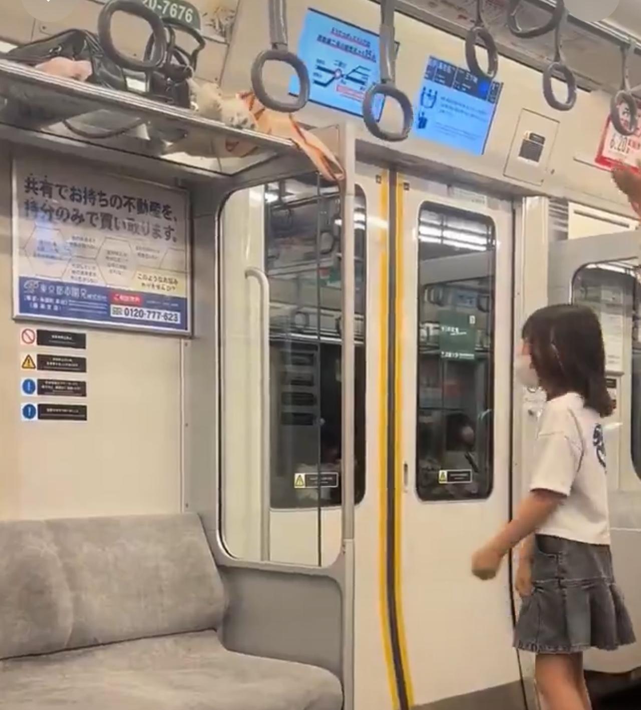 日本两女孩因地铁上玩耍遭到网暴！
两个小孩因为在地铁玩耍，把地铁上的手环拉着玩，