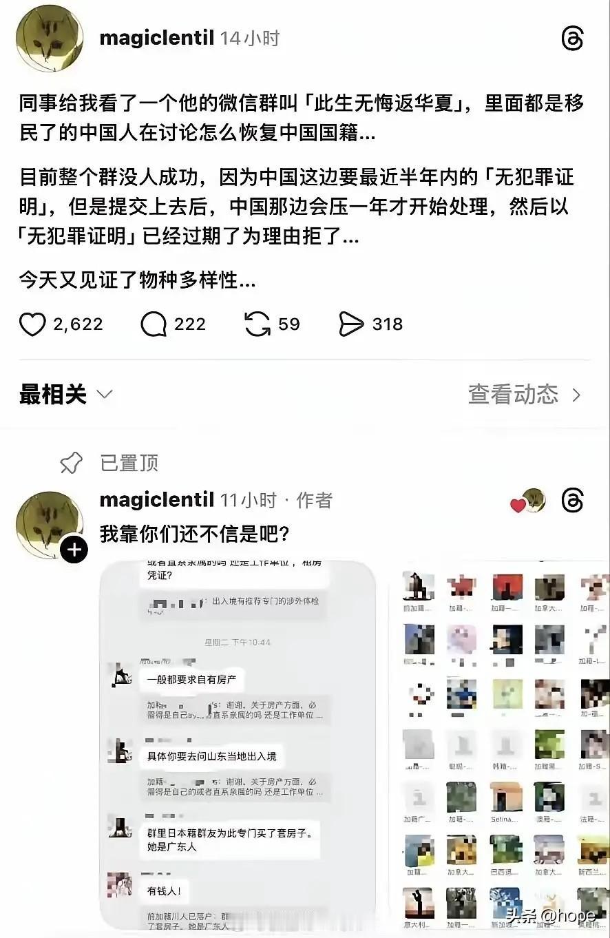 “此生无悔返华夏”的群聊里热闹非凡，一群当年毅然“润”出去的人，如今拼尽全力想回
