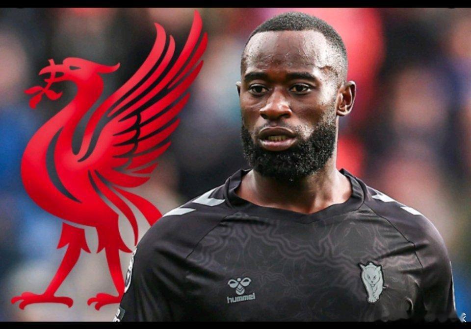 利物浦2月1日讯 今天据罗马诺报道，利物浦有意签下桑德兰后卫海特勒伊达，双方已展