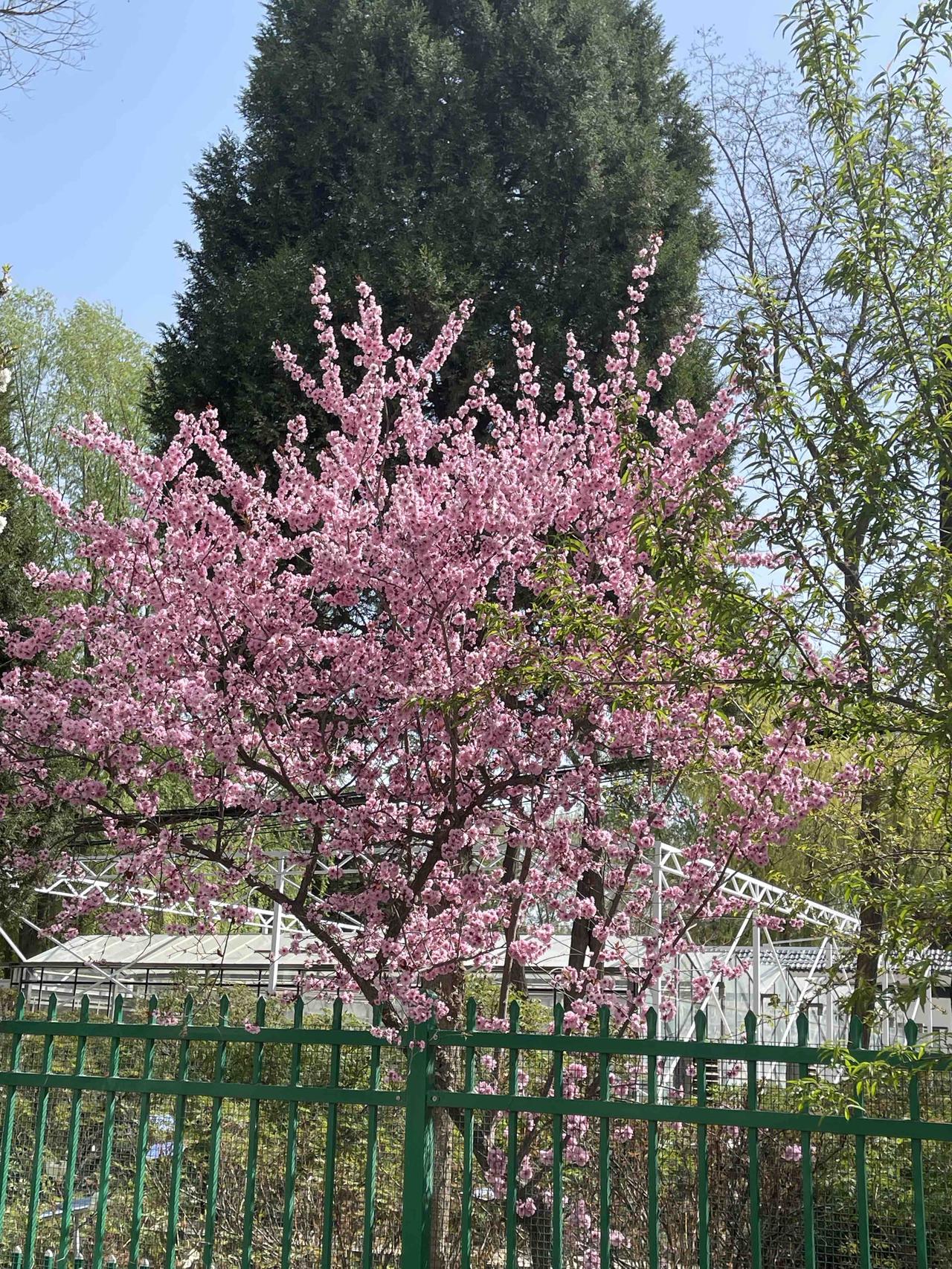 世人最该警惕的七样坏东西：

1. 忘恩负义的人
这世上忘恩负义的人不在少数，遇