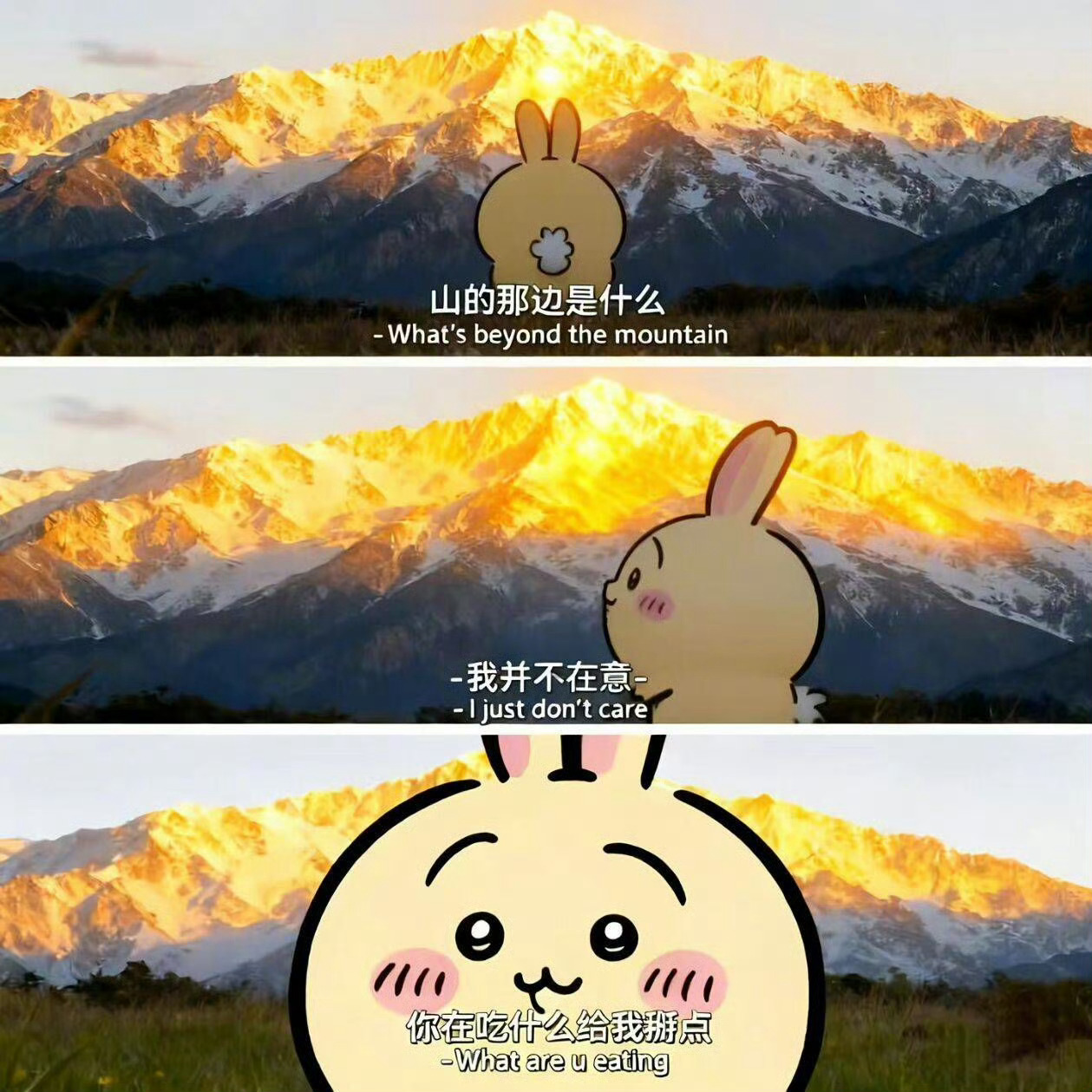 我和黄鲸鱼的差别： ​​​