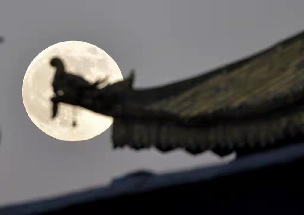 惊艳大图来了！一起“云赏”年度最大超级月亮——这个夜空中最璀璨的奇迹，究竟藏着怎