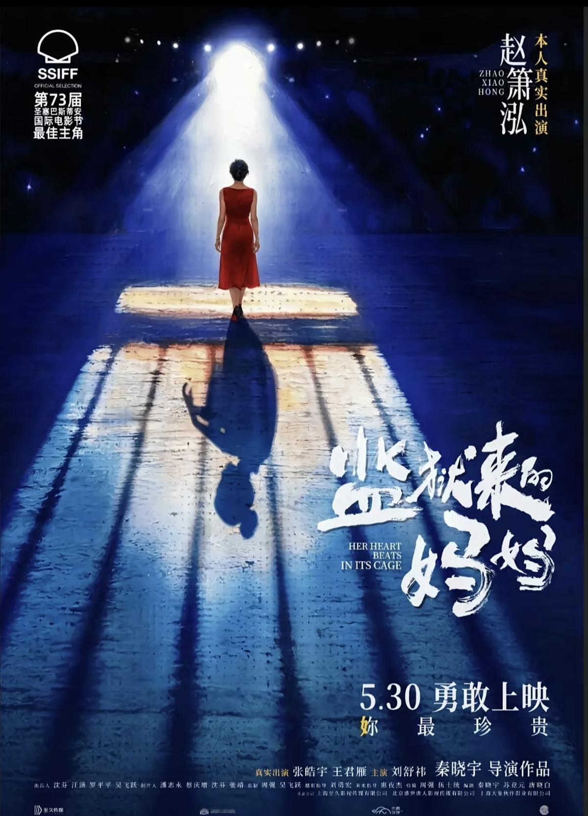监狱来的妈妈，主办方是怎么好意思宣传这部电影的，本身这个妈妈是一个杀人犯，杀害了