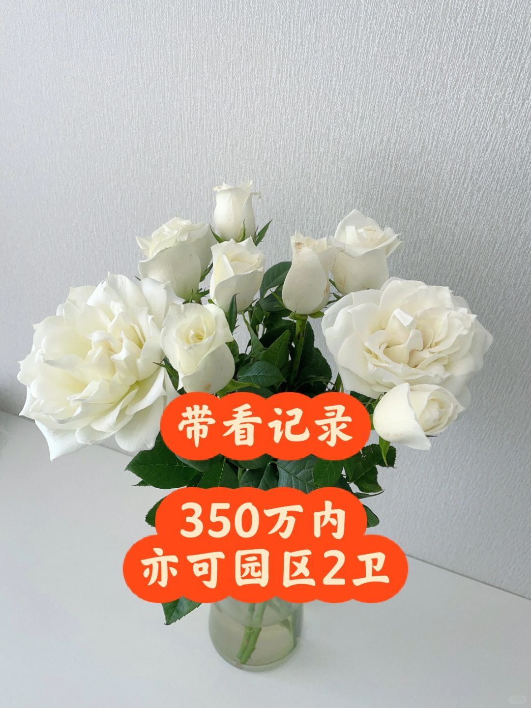 带看记录📝分享：350万园区2卫选择哪里？